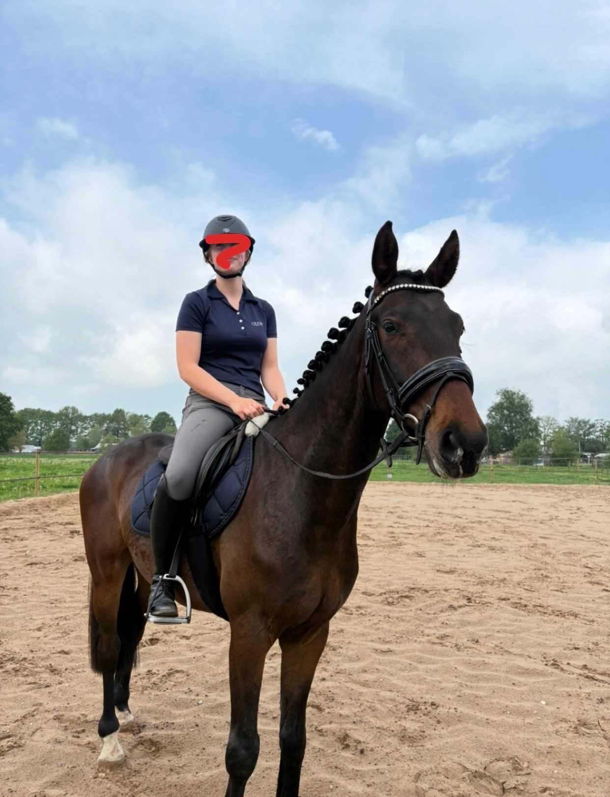 ander pony ruin 3 years old donkerbruin for sale - Photo 5