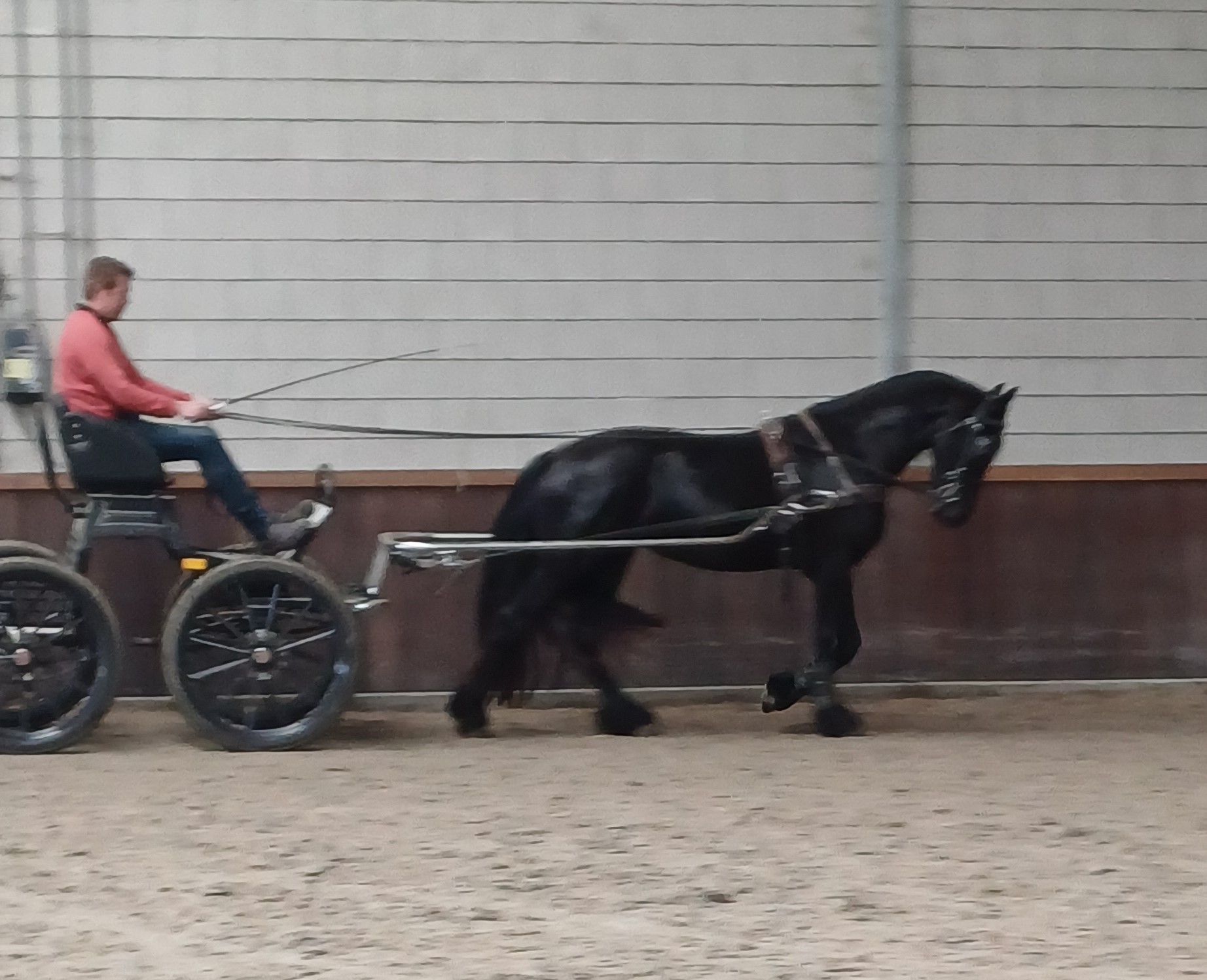 fries merrie 4 ans zwart à vendre - Photo 5