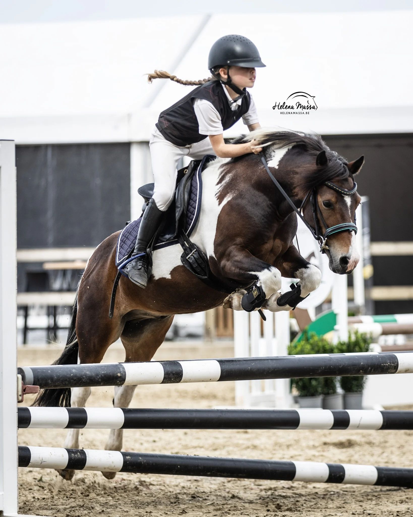 springpony ruin 11 år till salu - Huvudfoto