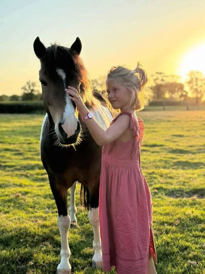springpony ruin 11 år till salu - Foto 2