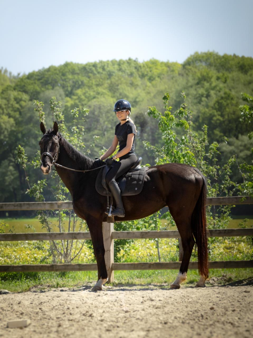 kwpn dressuurpaard ruin 4 years old zwart for sale - Photo 3