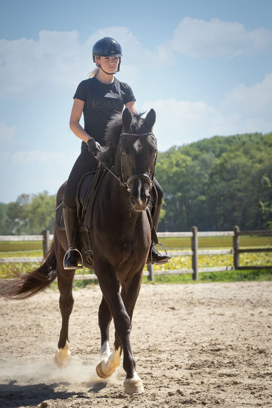 kwpn dressuurpaard ruin 4 years old zwart for sale - Photo 6