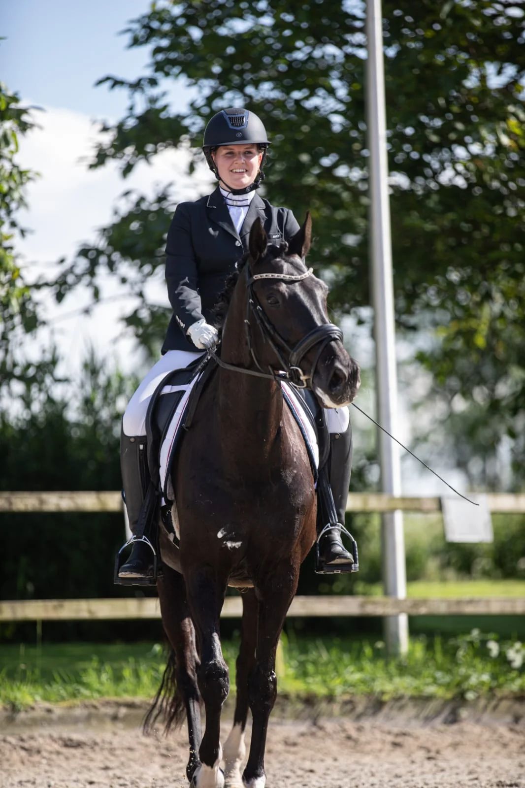 kwpn dressuurpaard merrie 11 anos zwart à venda - Foto 5