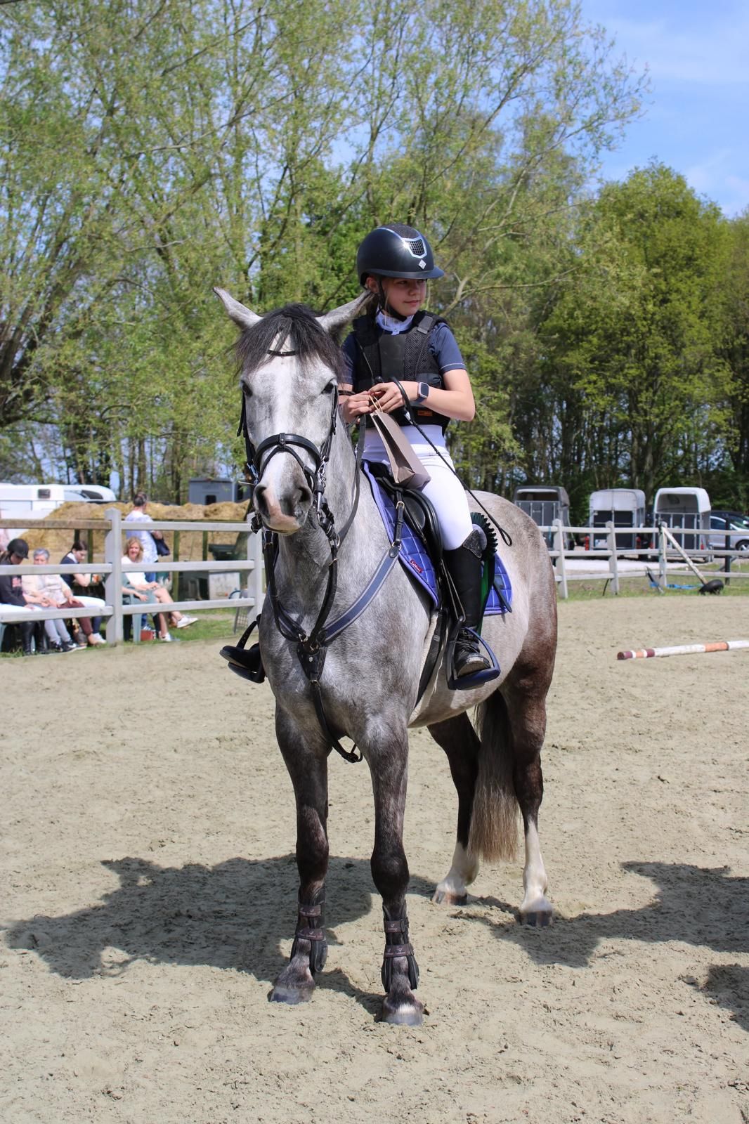 allrounder ruin 8 years old schimmel for sale - Photo 5