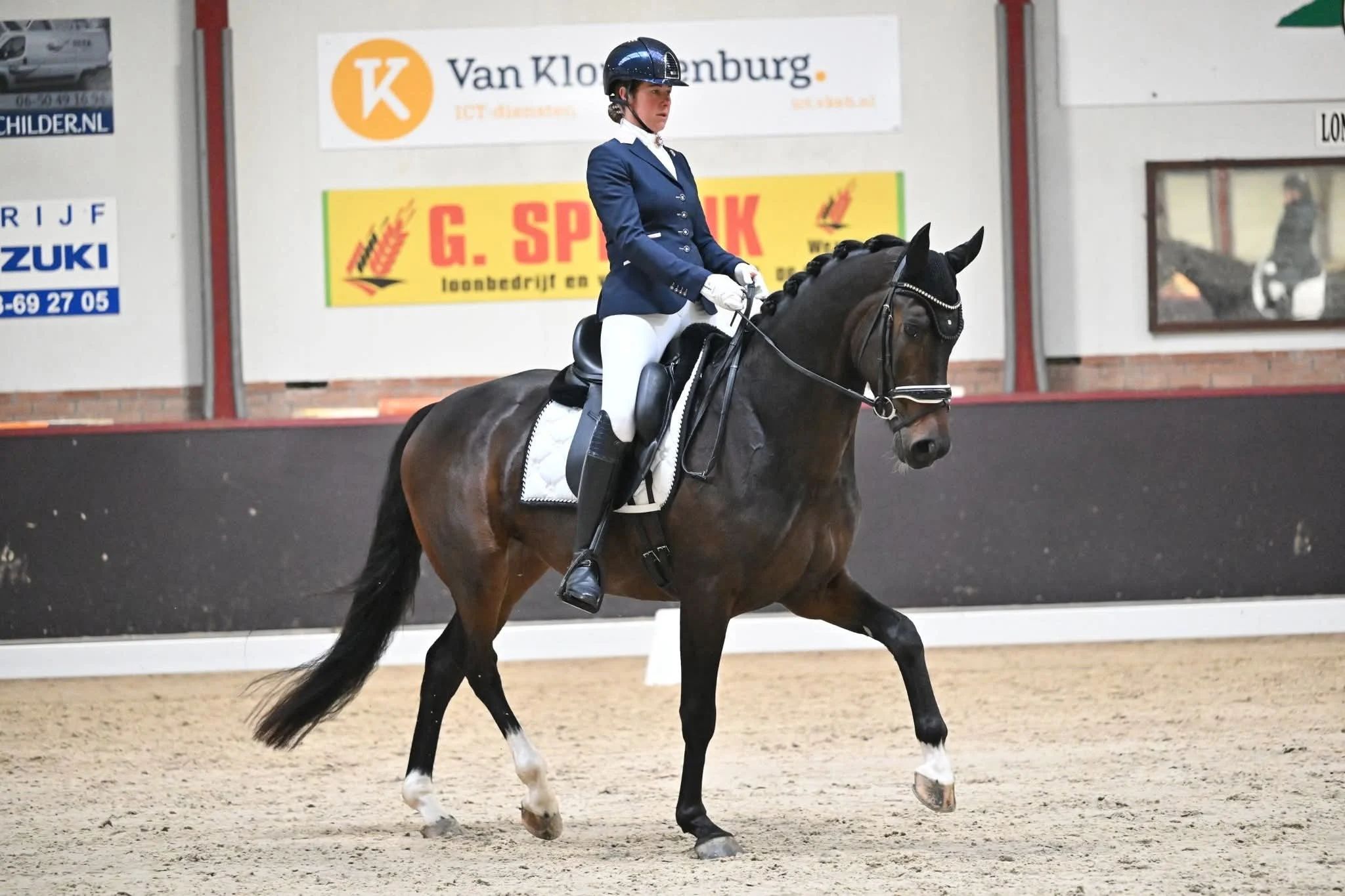 kwpn dressuurpaard ruin 5 years old donkerbruin for sale - Photo 5