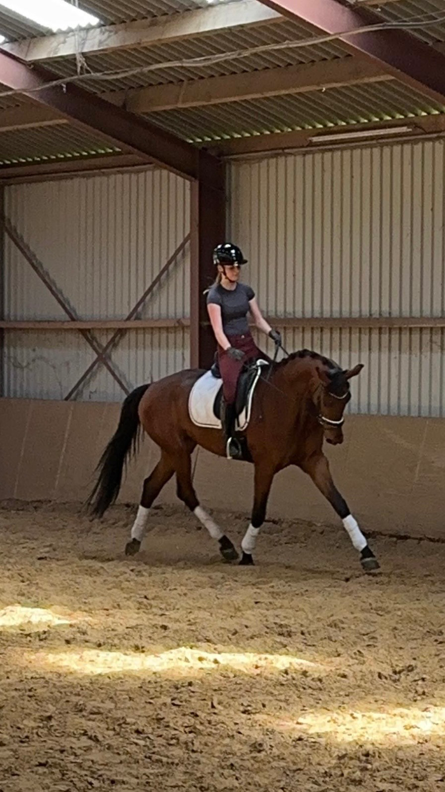 kwpn dressuurpaard merrie 4 años bruin en venta - Foto 3