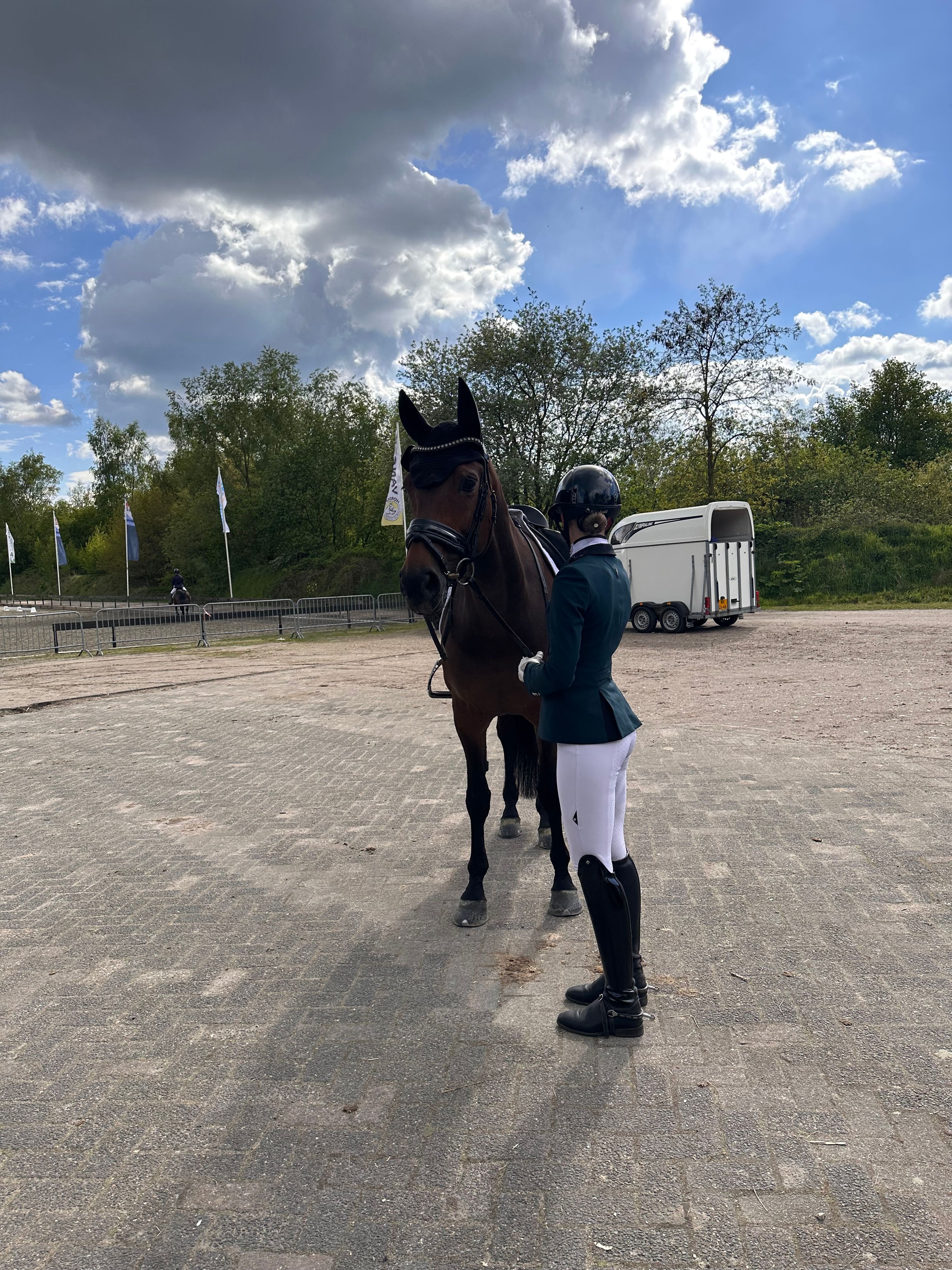 kwpn dressuurpaard merrie 15 Jahre alt donkerbruin zu verkaufen - Foto 4