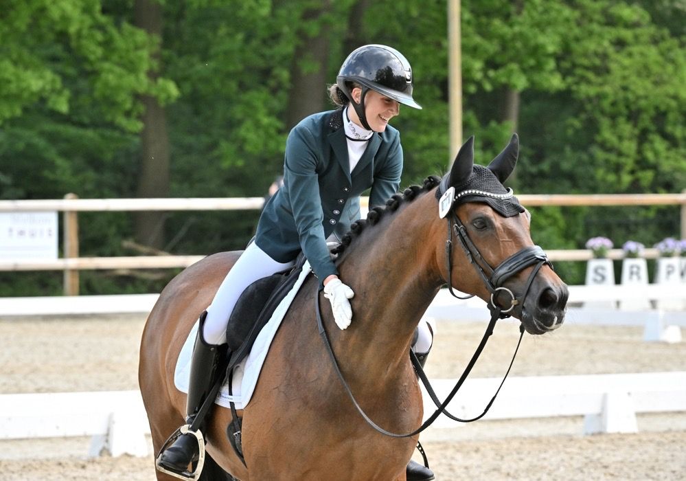 kwpn dressuurpaard merrie 15 Jahre alt donkerbruin zu verkaufen - Foto 3