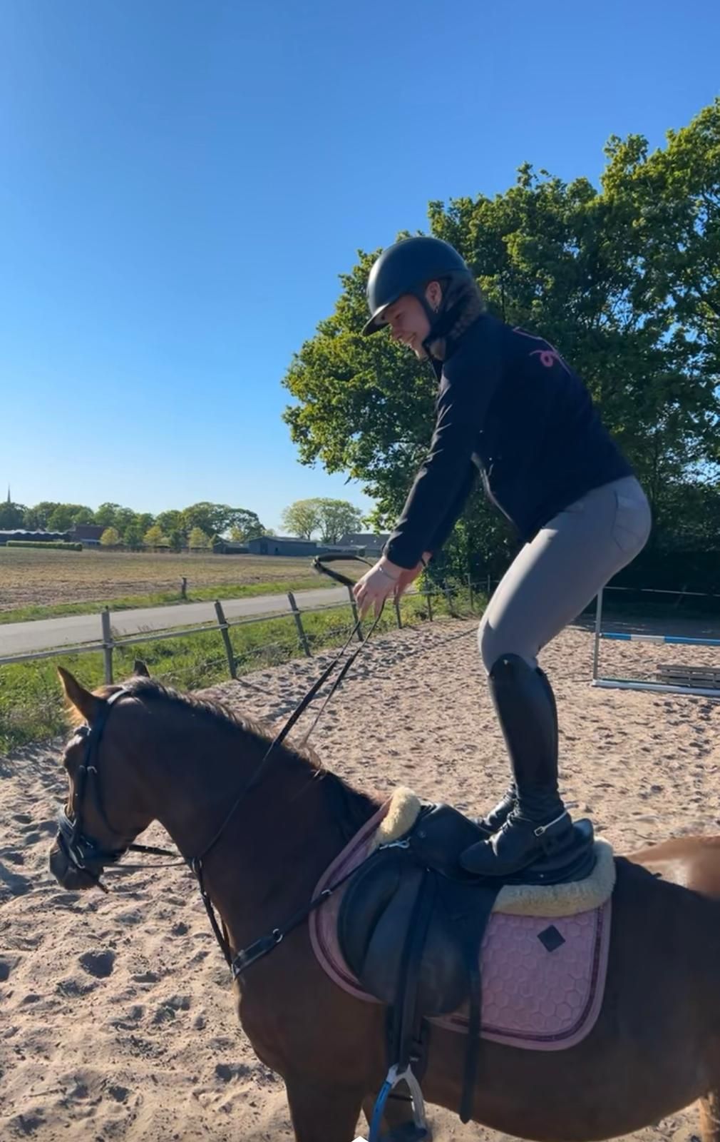 nrps springpony merrie 6 jaar vos te koop - Foto 4