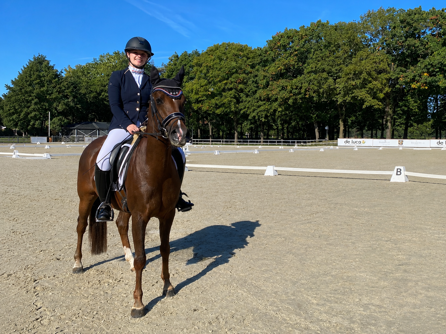 nrps springpony merrie 6 jaar vos te koop - Foto 3