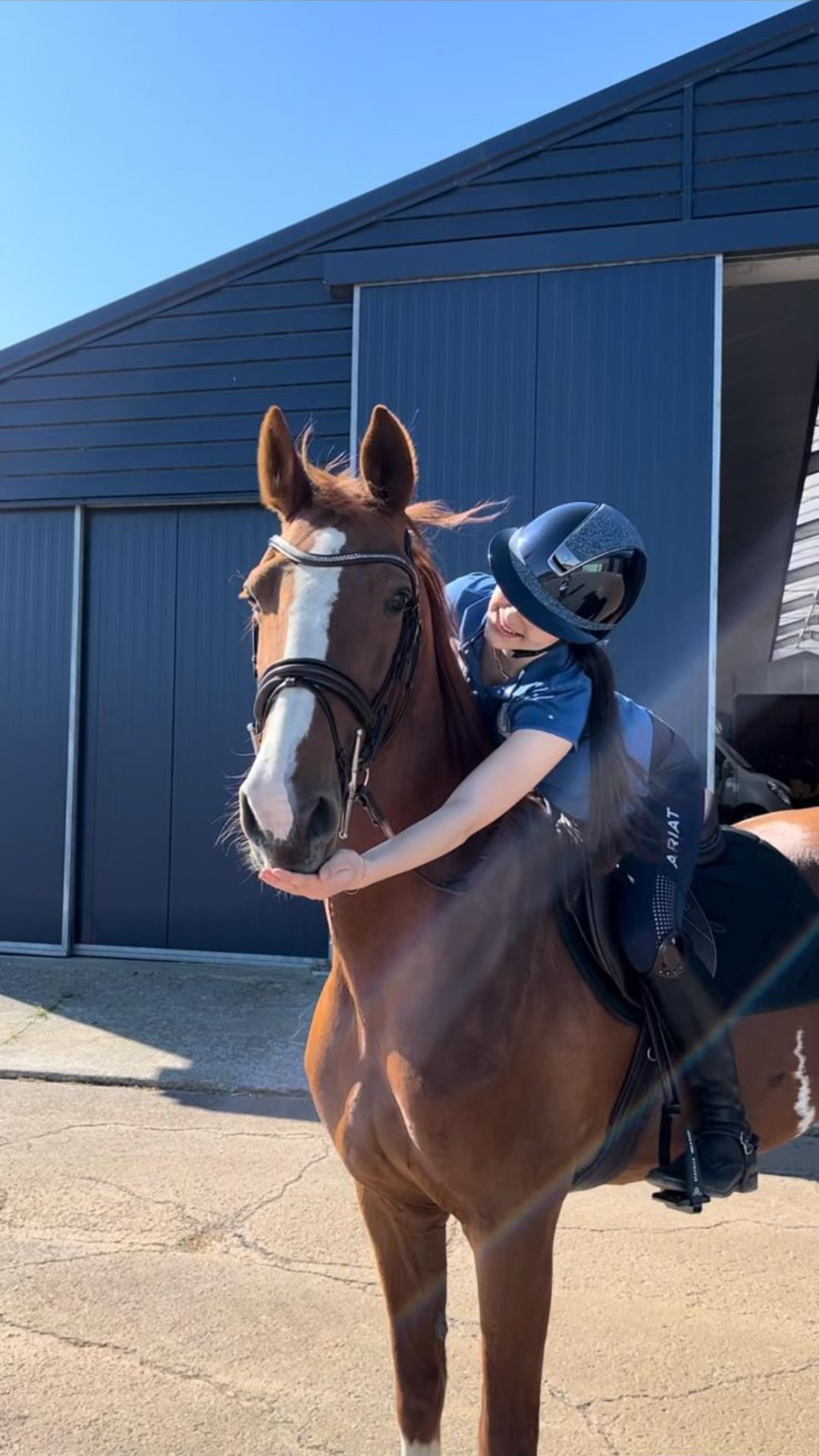 kwpn recreatie-paard merrie 13 years old vos for sale - Photo 4
