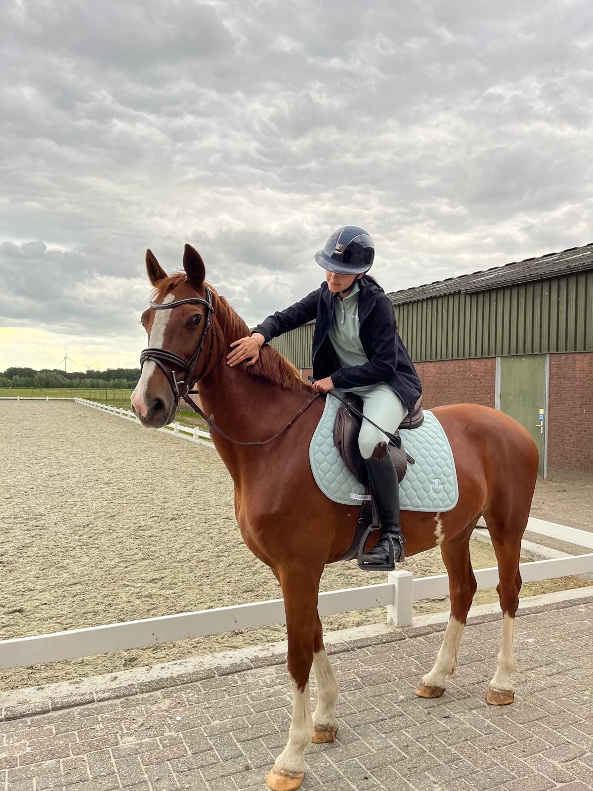 kwpn recreatie-paard merrie 13 years old vos for sale - Photo 3