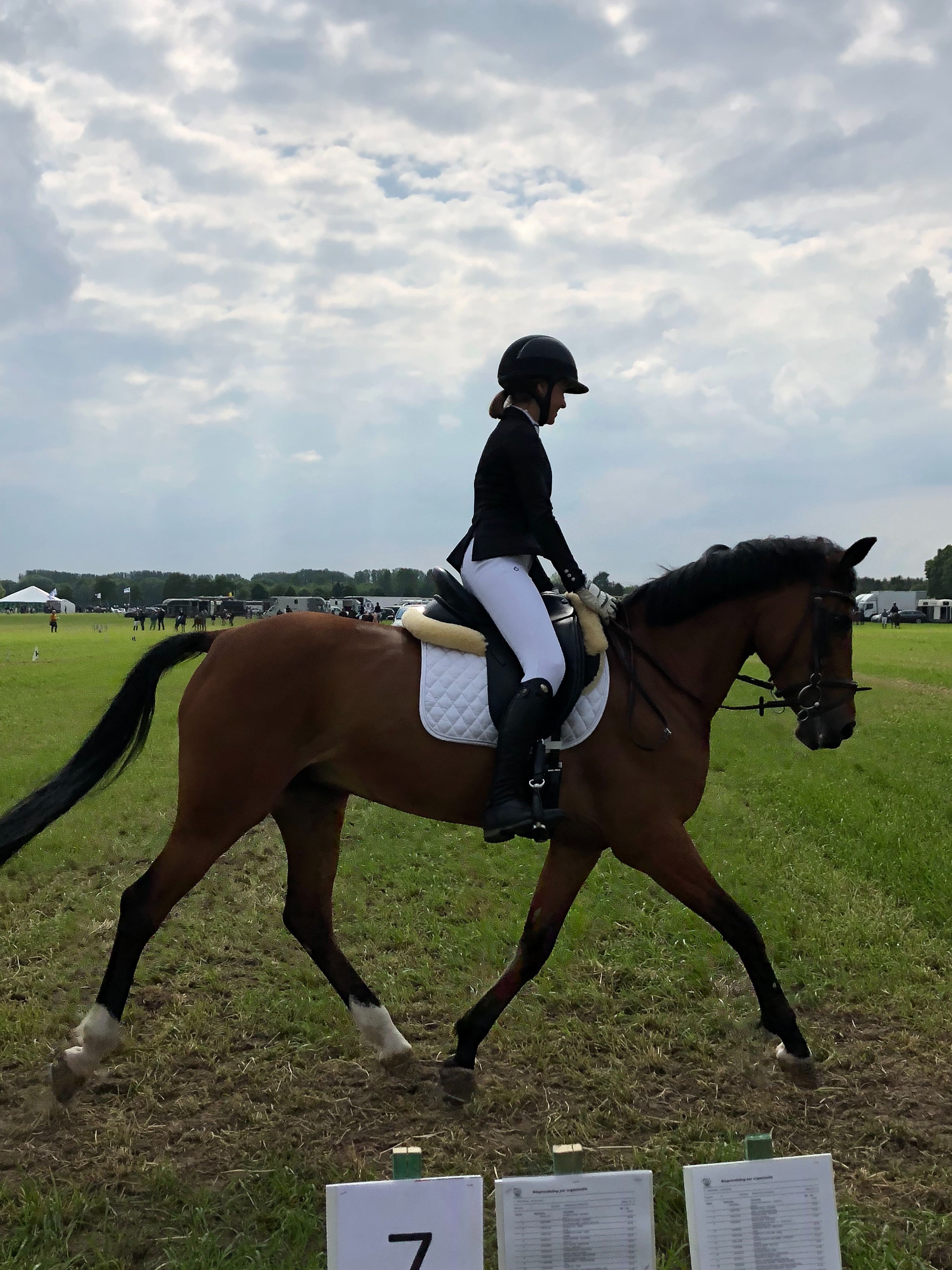 Dressuurzadel te koop - Foto 4