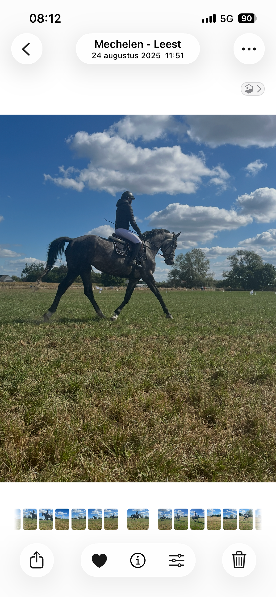 bwp springpaard merrie 6 years old schimmel for sale - Photo 3