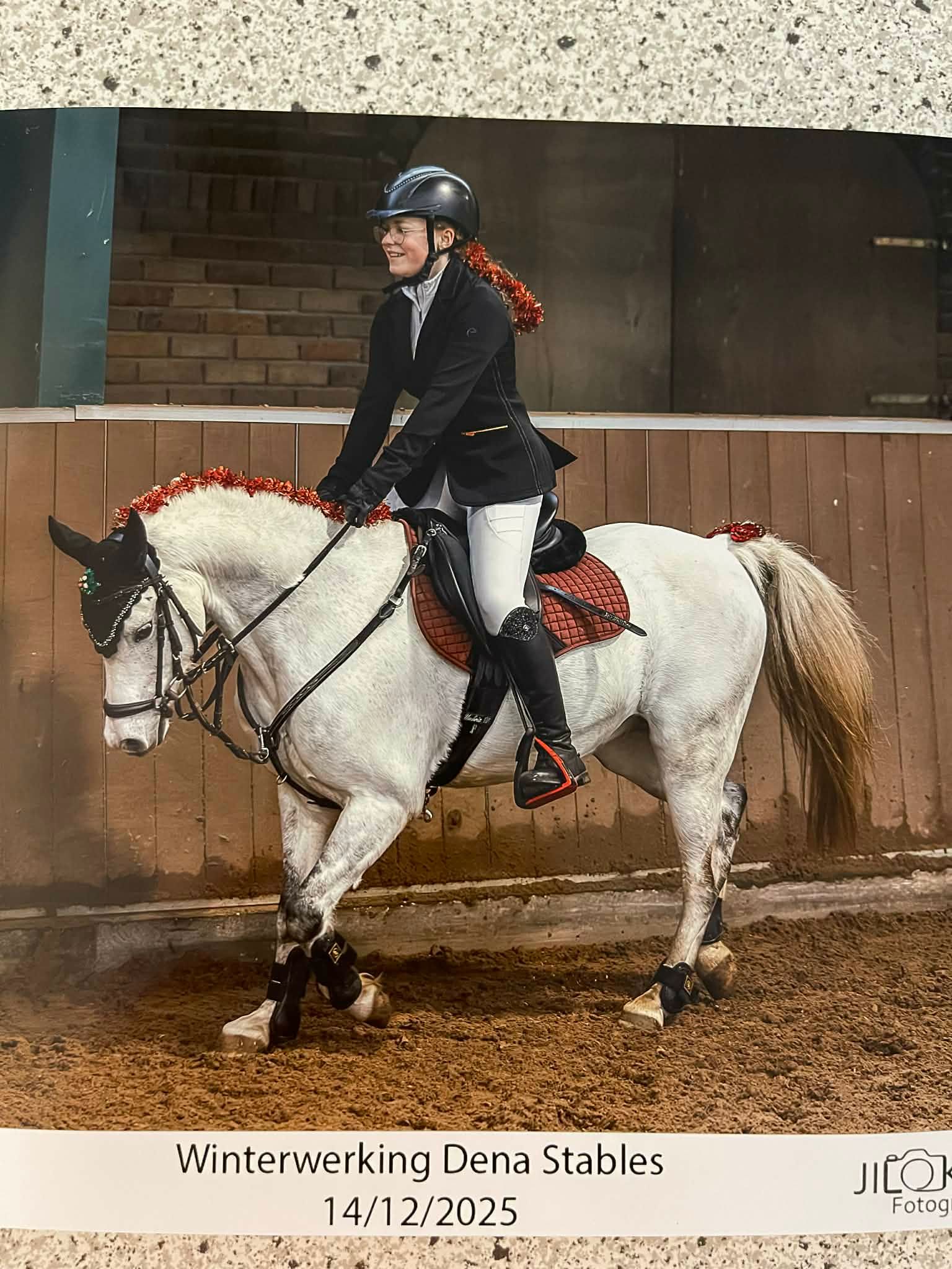 warmbloed springpony ruin 12 años schimmel en venta - Foto 2