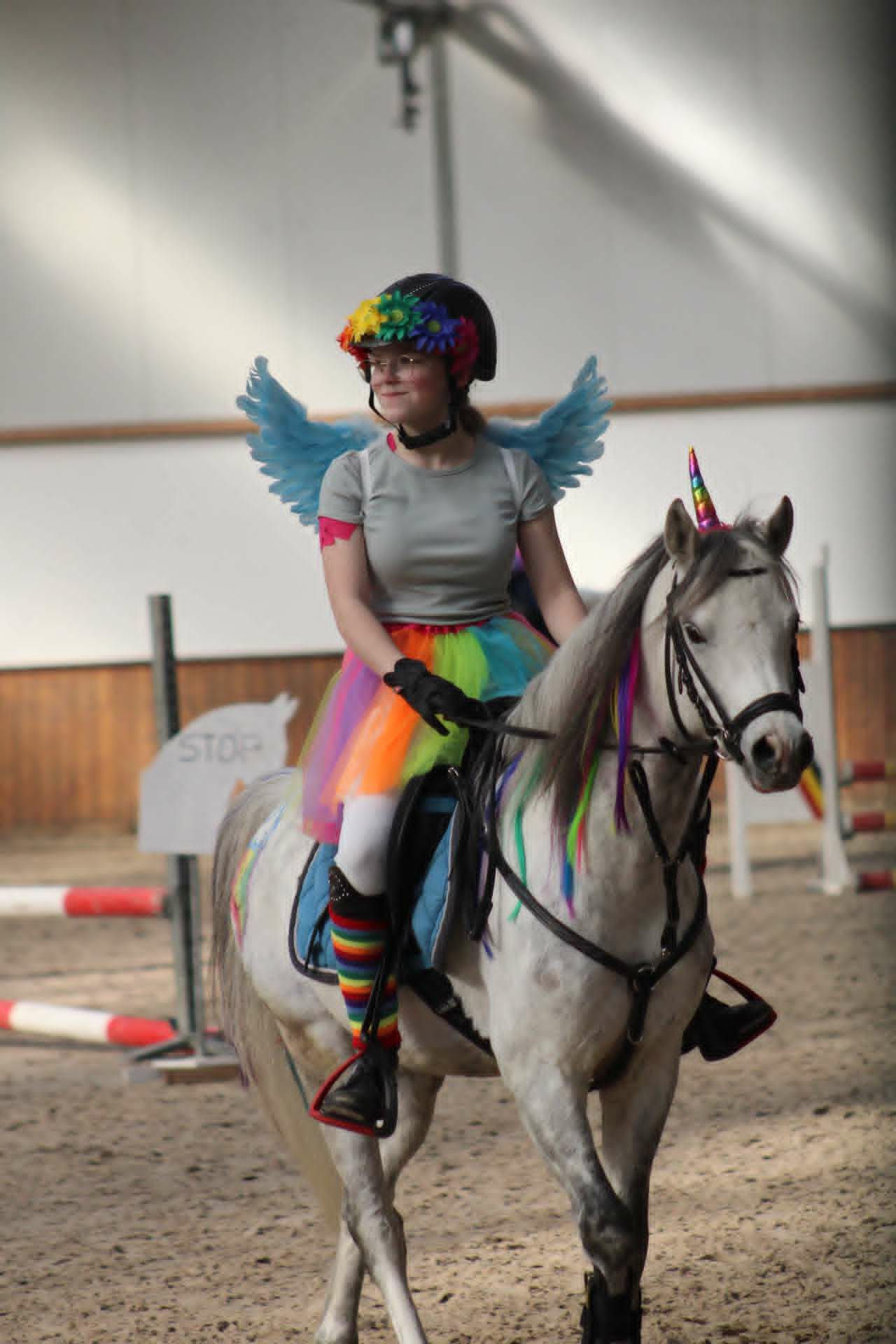 warmbloed springpony ruin 12 años schimmel en venta - Foto 4
