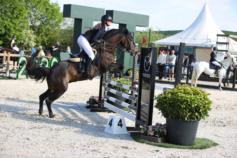 new-forest allround-pony merrie 17 years old zwart for sale - Photo 5