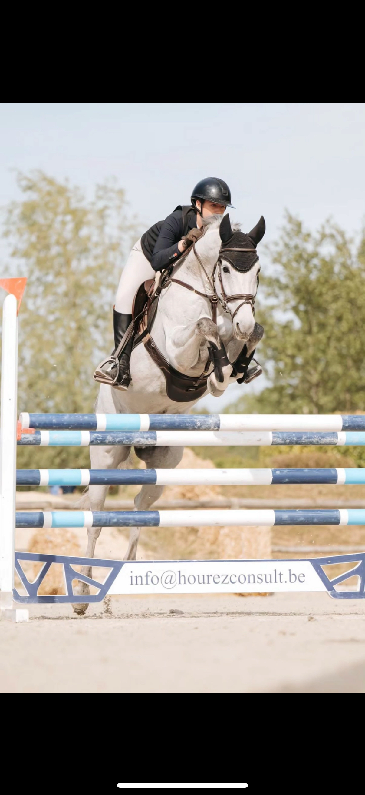 Cavallo All Round (Polivalente)