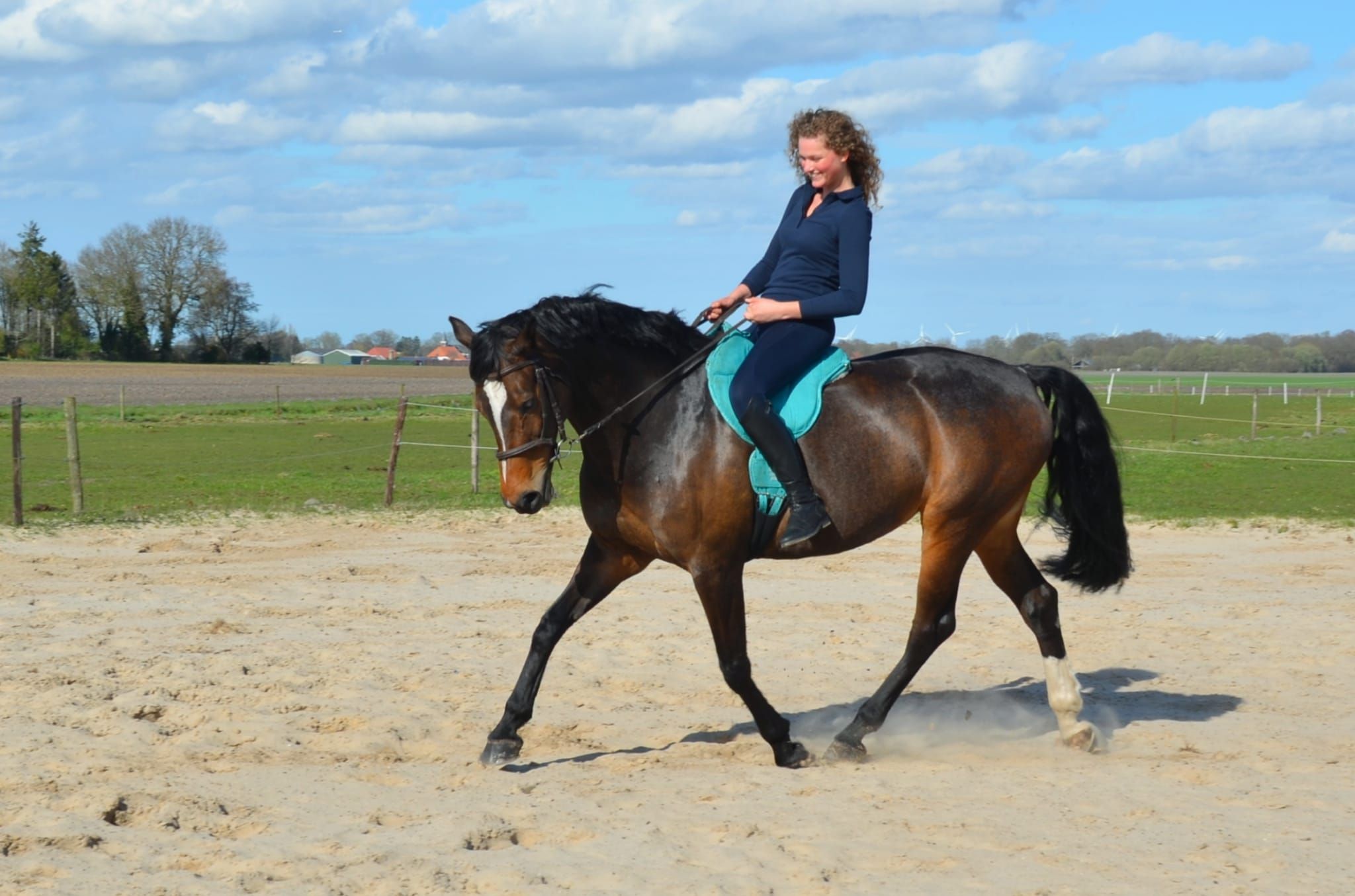 kwpn allrounder merrie 12 years old donkerbruin for sale - Photo 5