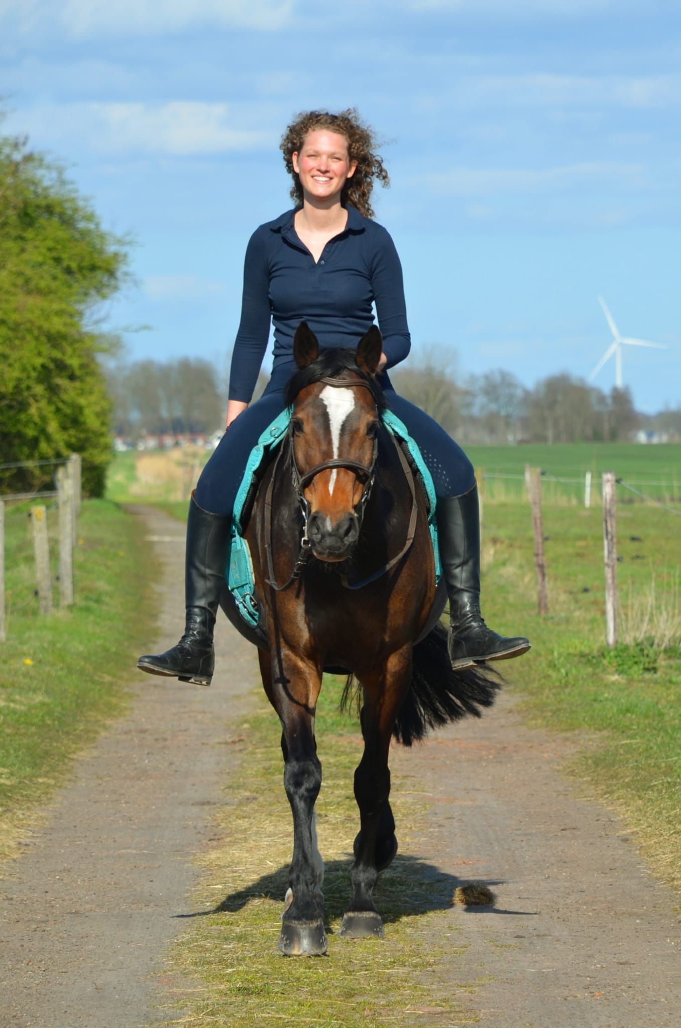 kwpn allrounder merrie 12 years old donkerbruin for sale - Photo 6