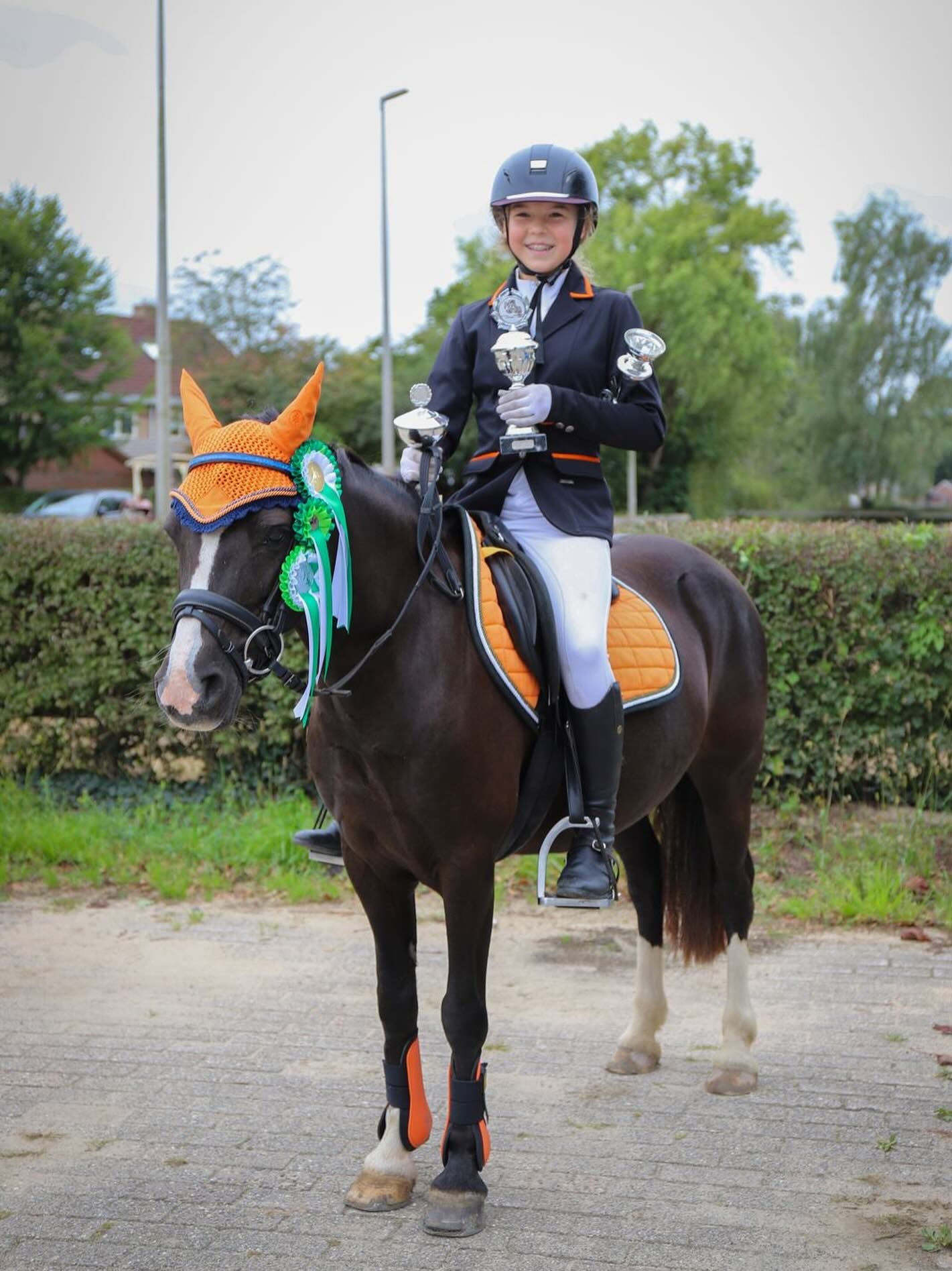 welsh allround-pony merrie 11 años donkerbruin en venta - Foto 5