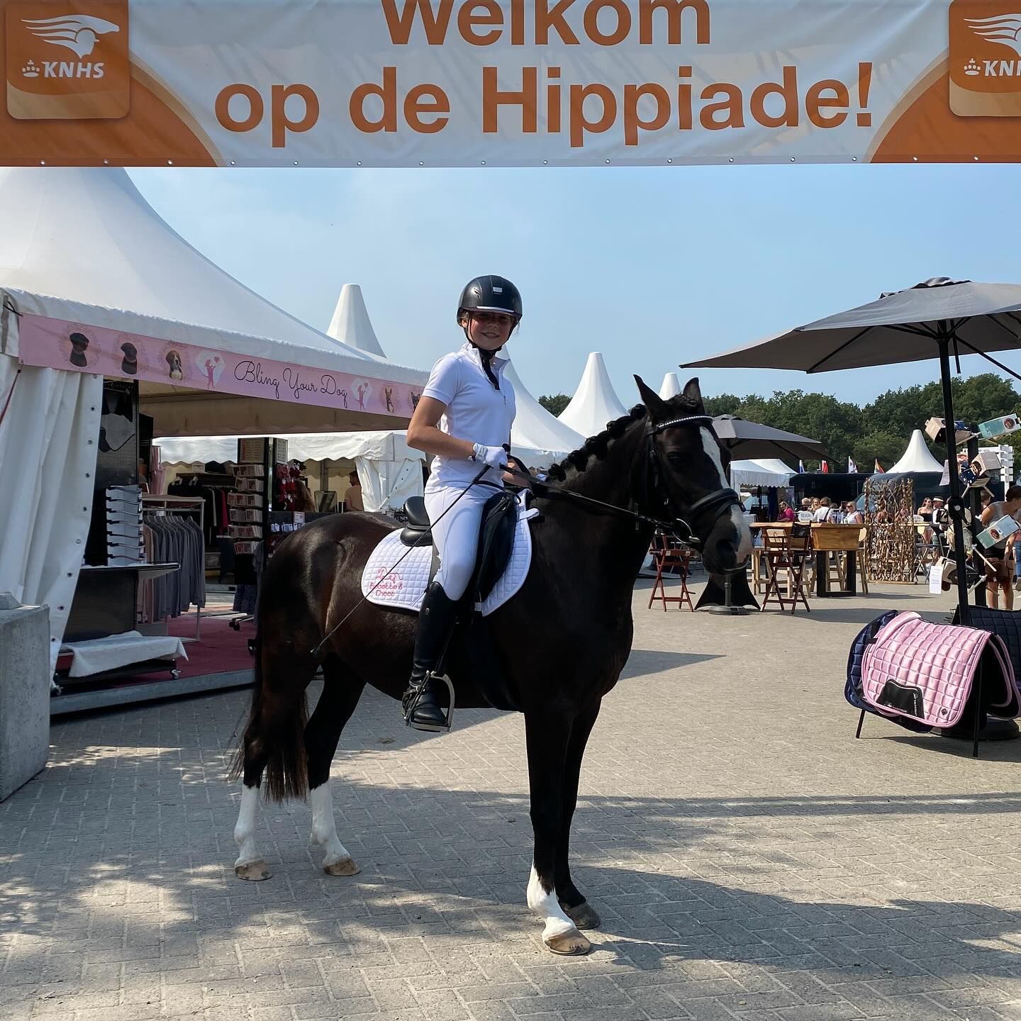 welsh allround-pony merrie 11 años donkerbruin en venta - Foto 4