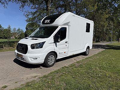 Young Automatic Ford Transit stallion version Anemone (id:32)