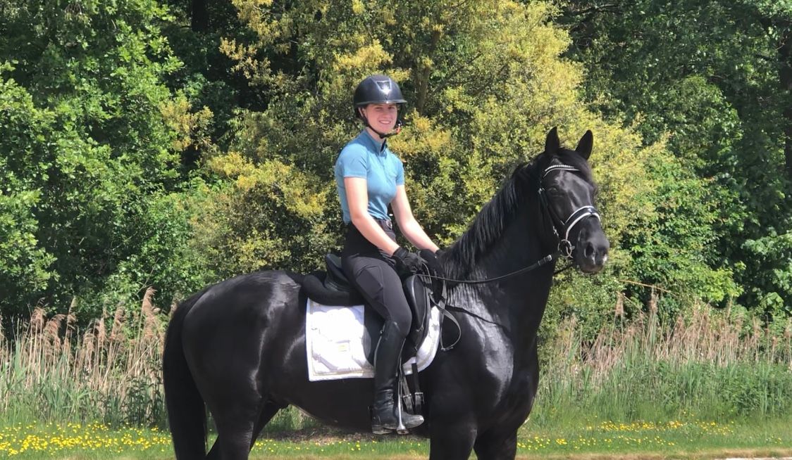 oldenburg dressuurpaard hengst 4 anos zwart à venda - Foto 4