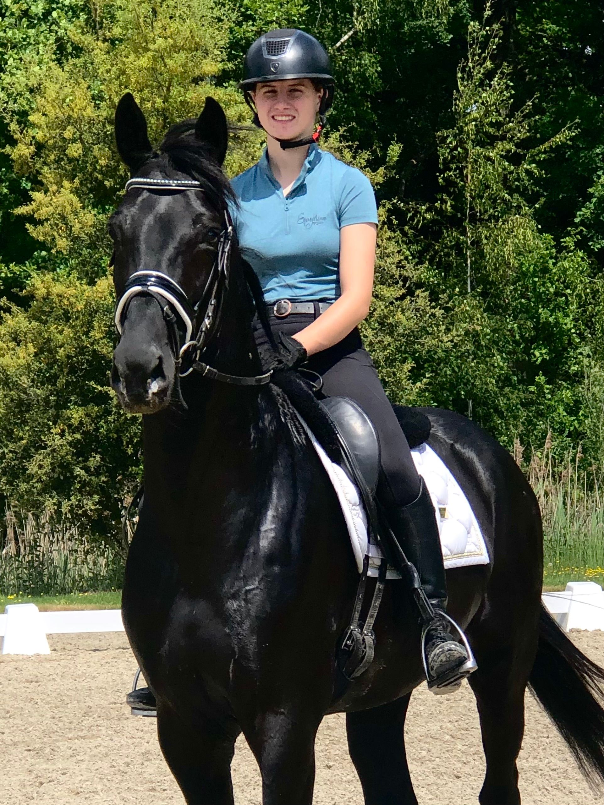 oldenburg dressuurpaard hengst 4 anos zwart à venda - Foto 2