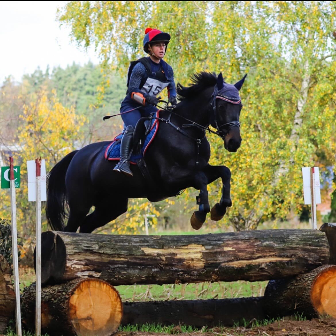 bwp eventingpaard merrie 17 years old donkerbruin for sale - Photo 2