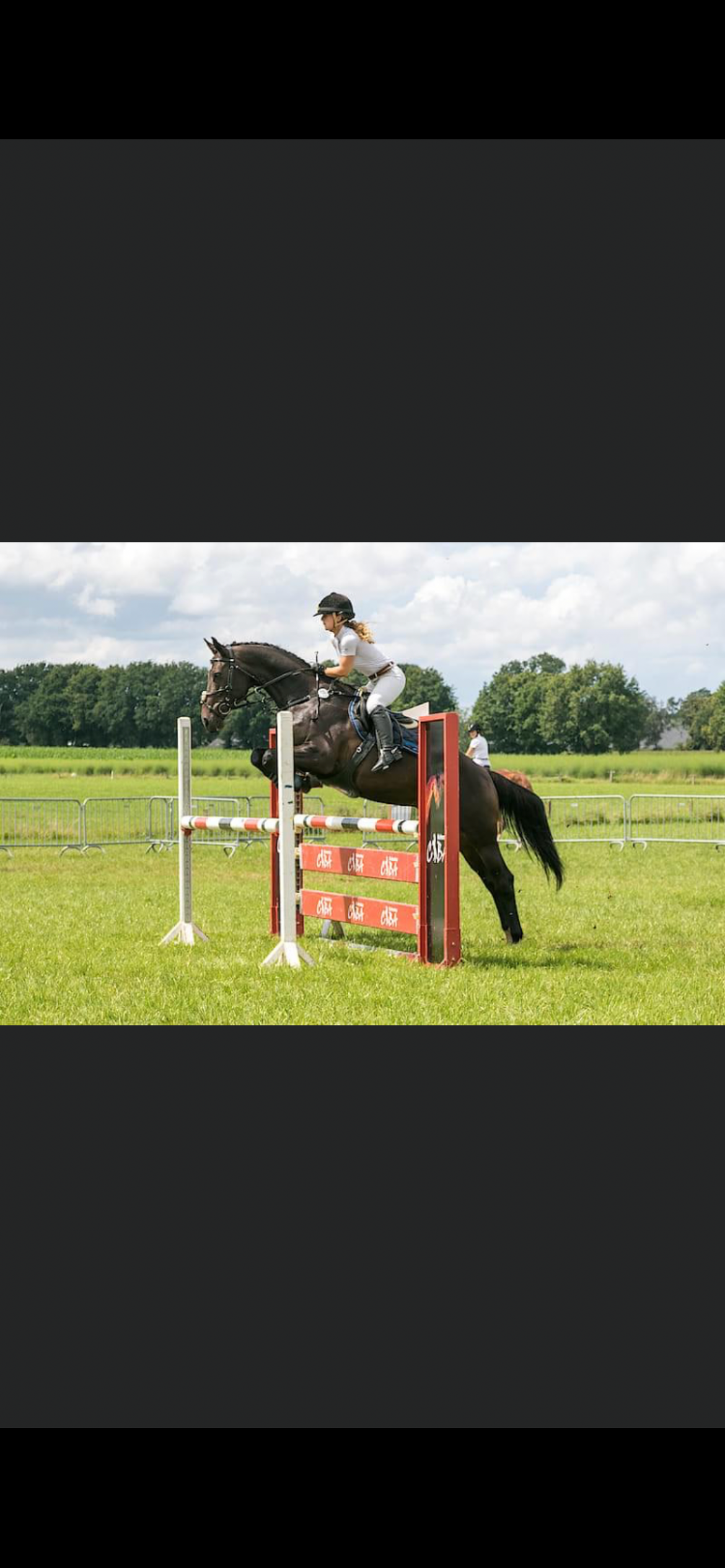 bwp eventingpaard merrie 17 years old donkerbruin for sale - Photo 5