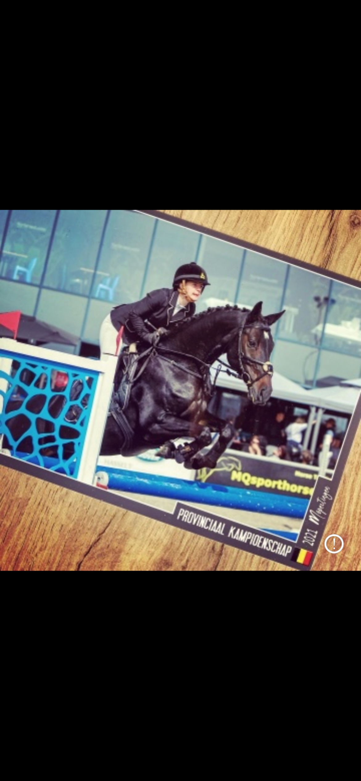 bwp eventingpaard merrie 17 years old donkerbruin for sale - Photo 6