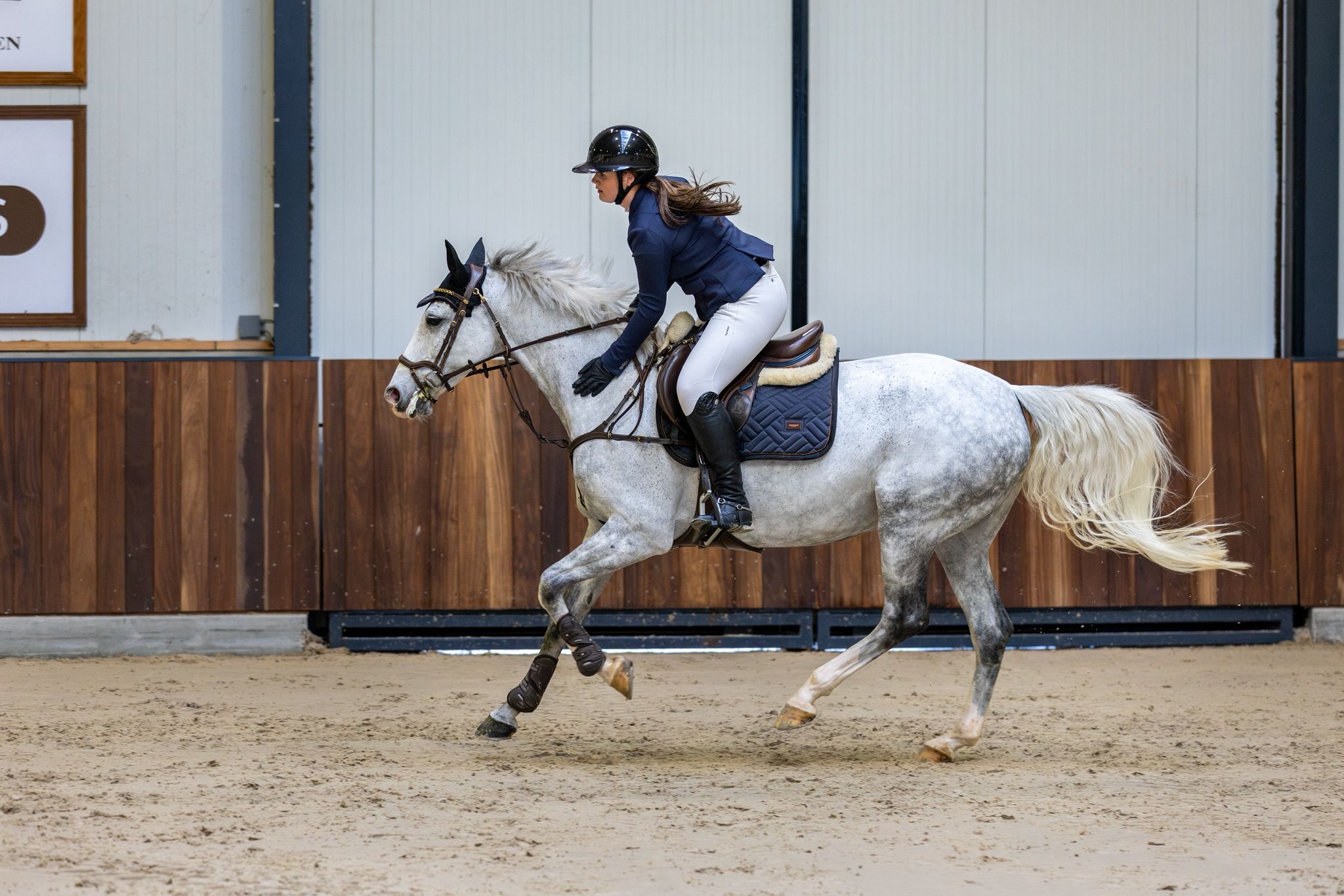 spaans springpaard merrie 9 岁 schimmel 出售 - 照片 5