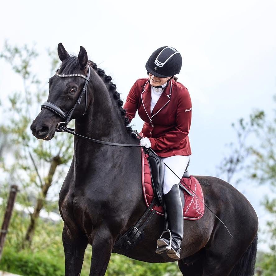 Hongre de dressage KWPN (Negro x Goodtimes)