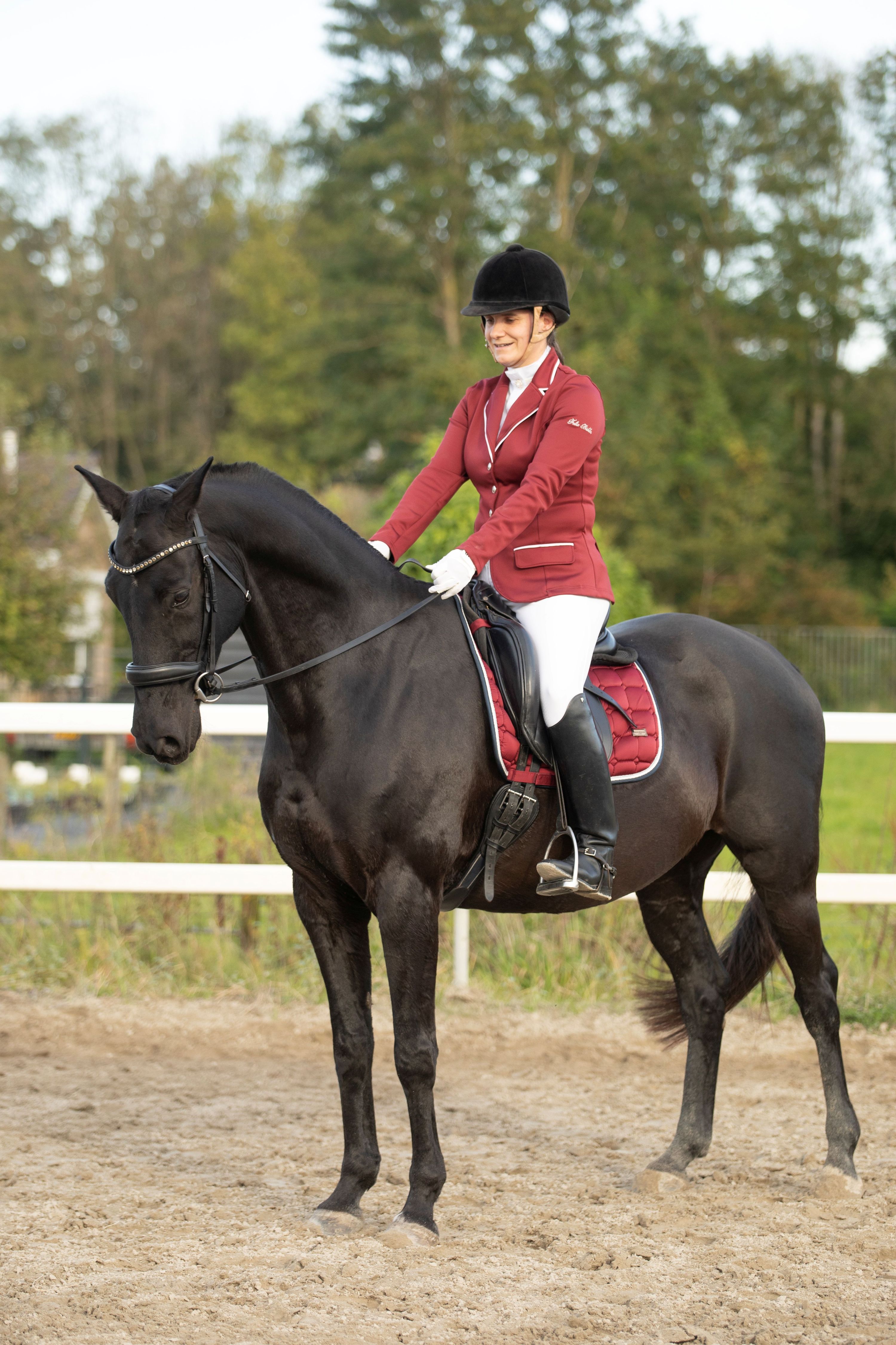 kwpn dressuurpaard ruin 14 år zwart till salu - Foto 6