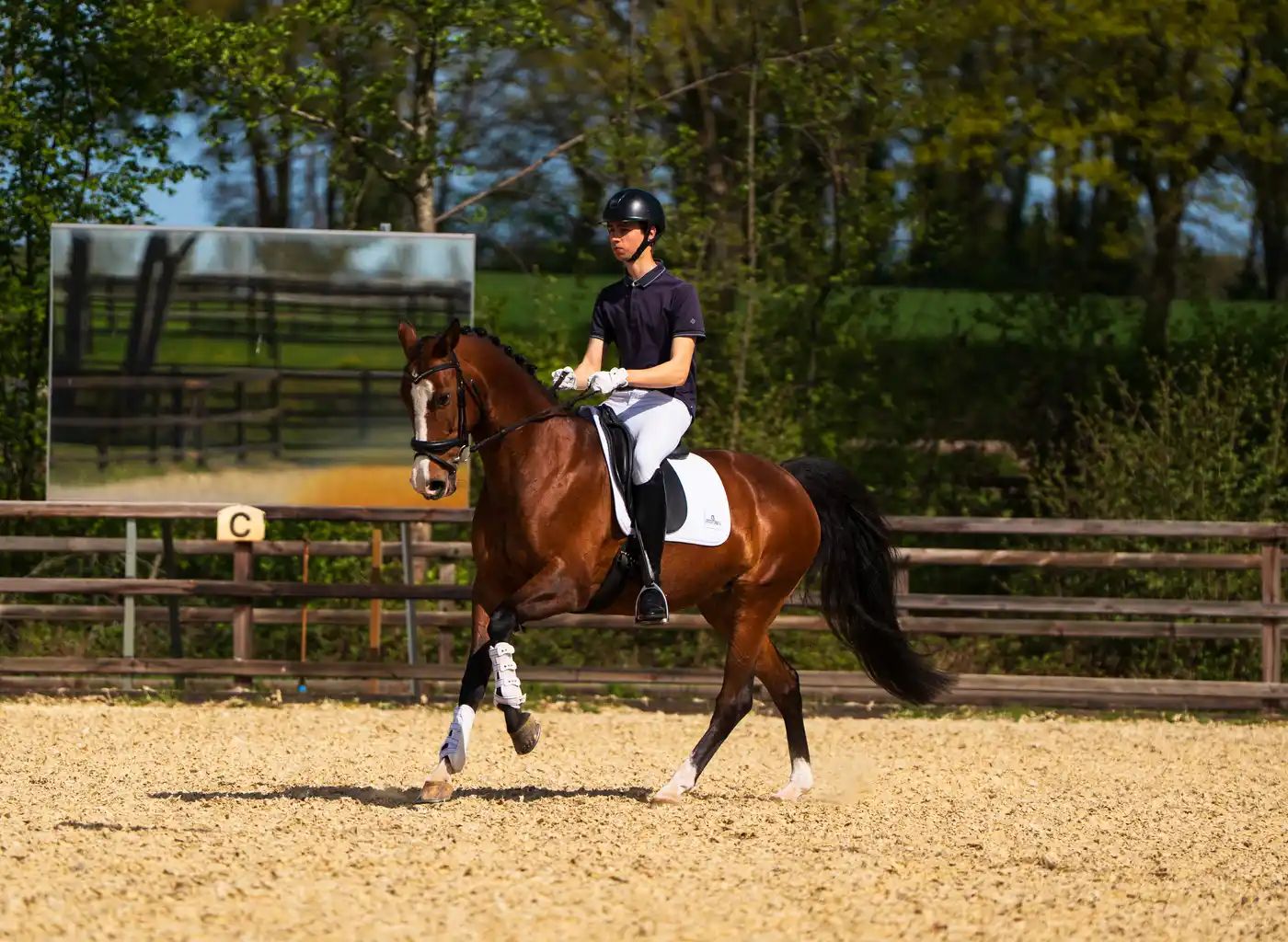 kwpn dressuurpaard merrie 13 ans bruin à vendre - Photo 3
