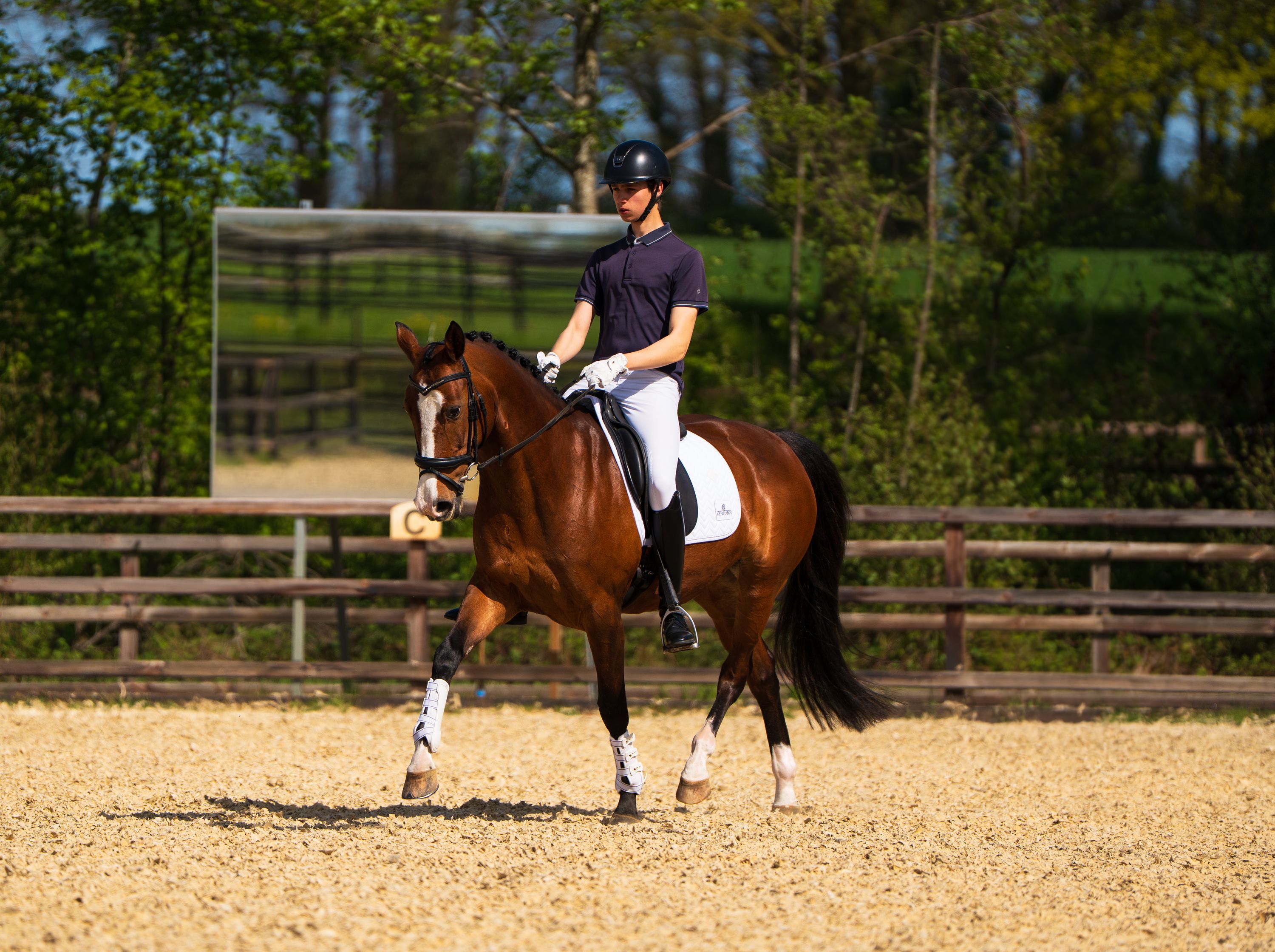 kwpn dressuurpaard merrie 13 ans bruin à vendre - Photo 5