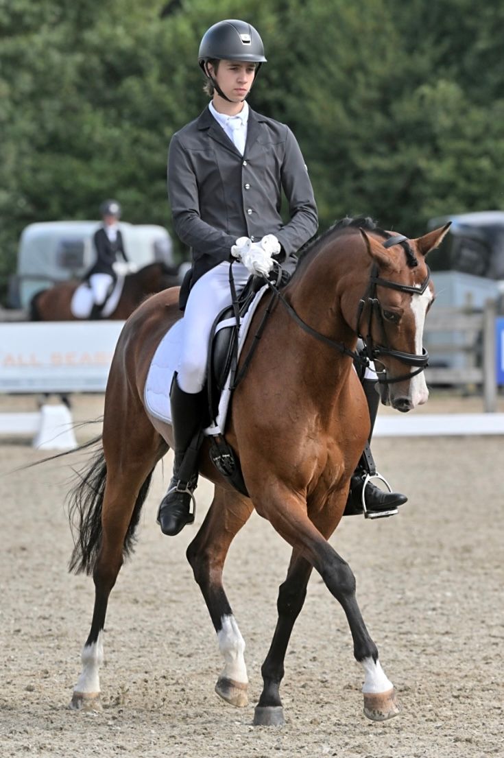 kwpn dressuurpaard merrie 13 ans bruin à vendre - Photo 6