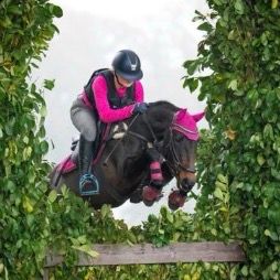 性格の優しいオールラウンドな牝馬、販売中
