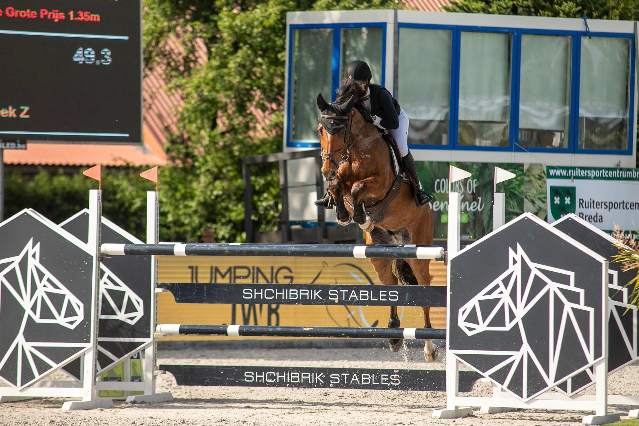 Experienced show jumper
