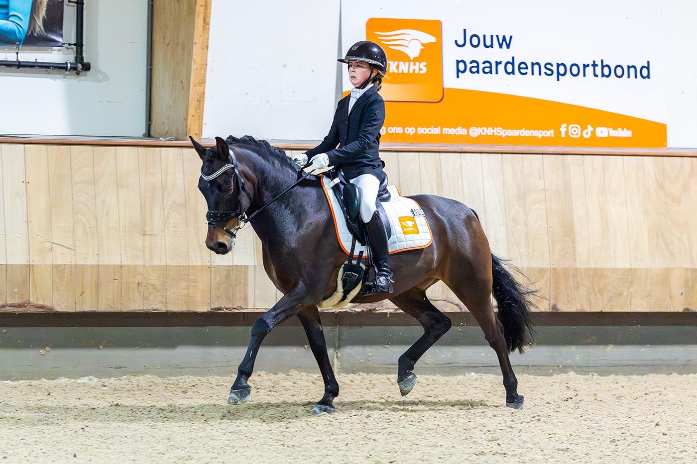 All-round bombproof schoolmaster