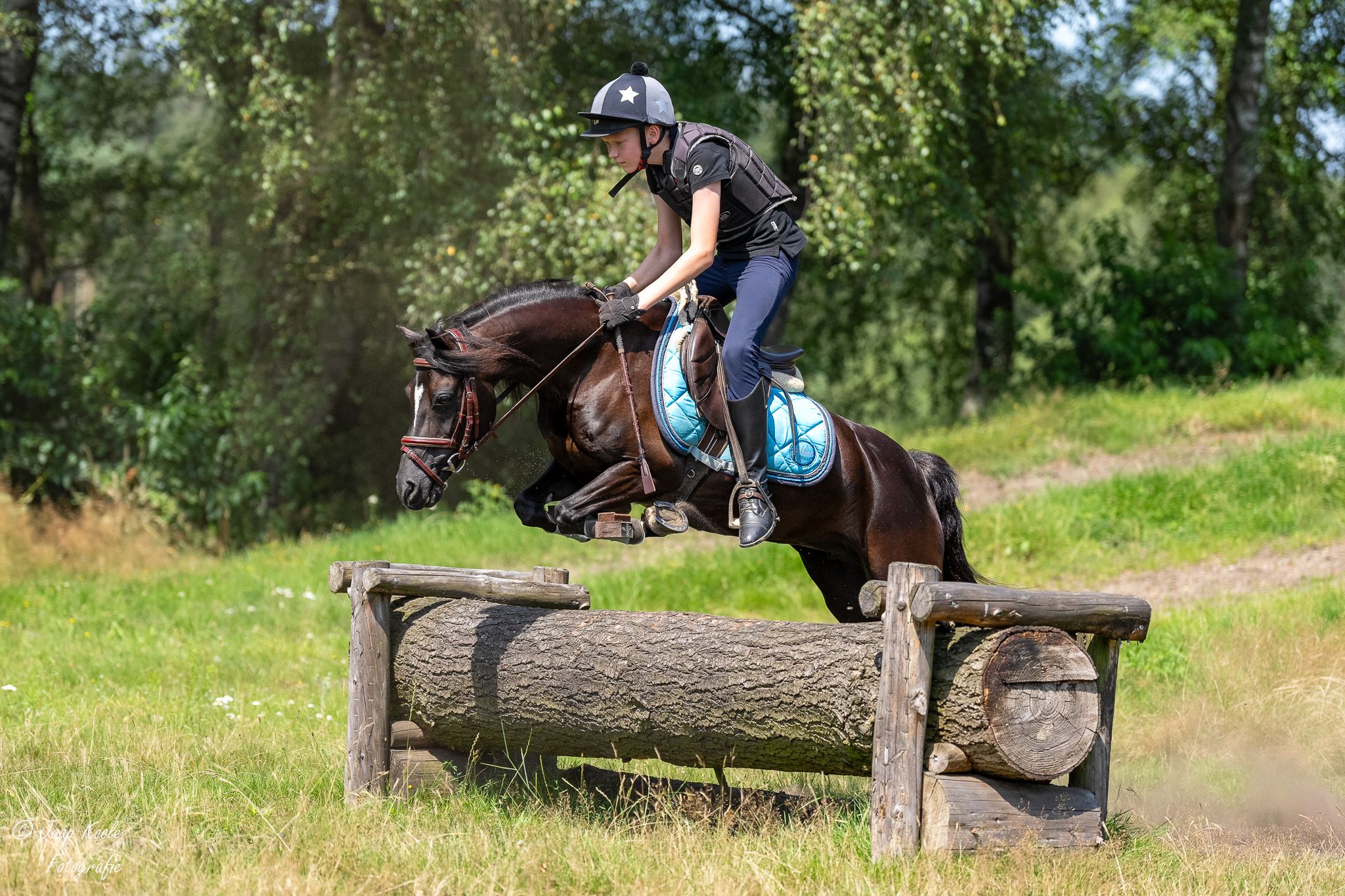 welsh allround-pony merrie 17 years old zwart for sale - Photo 3