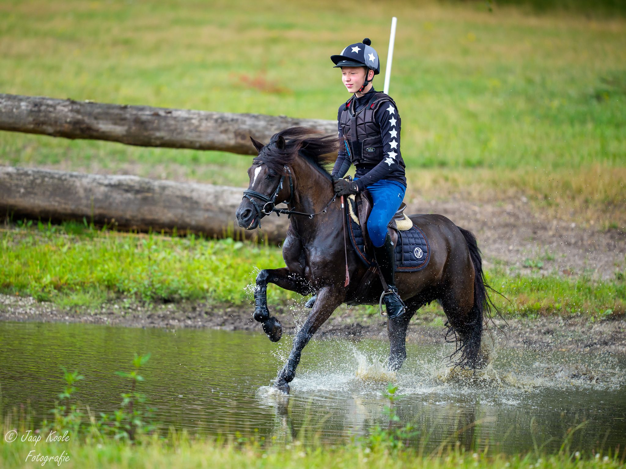 welsh allround-pony merrie 17 years old zwart for sale - Photo 4