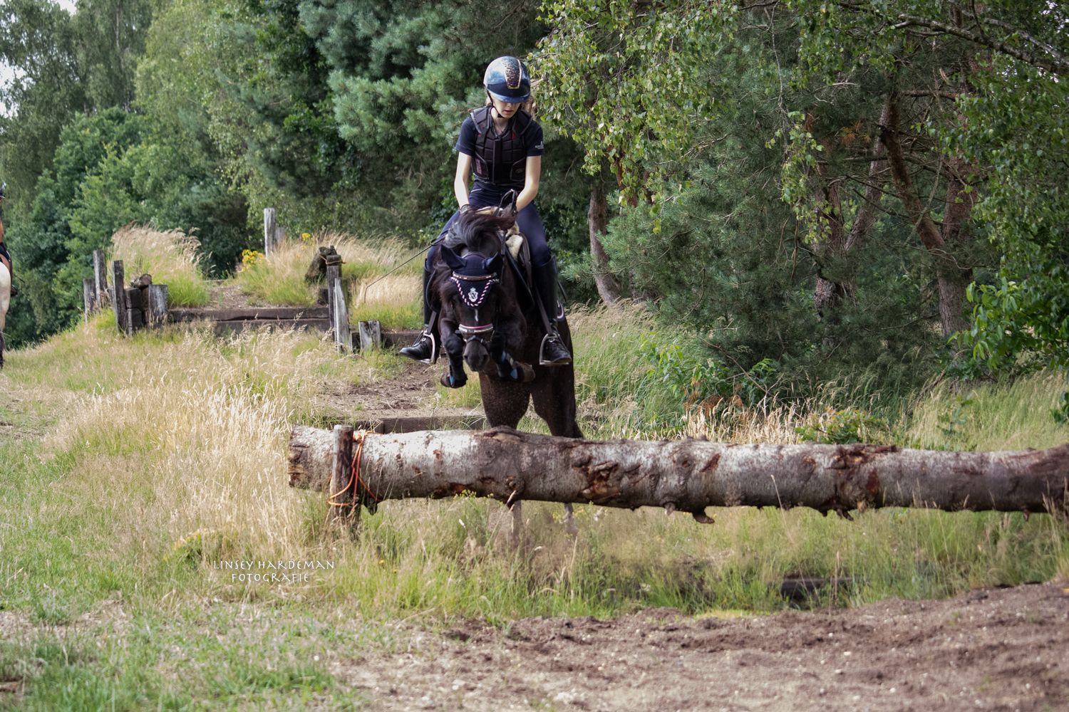 welsh allround-pony merrie 17 years old zwart for sale - Photo 5