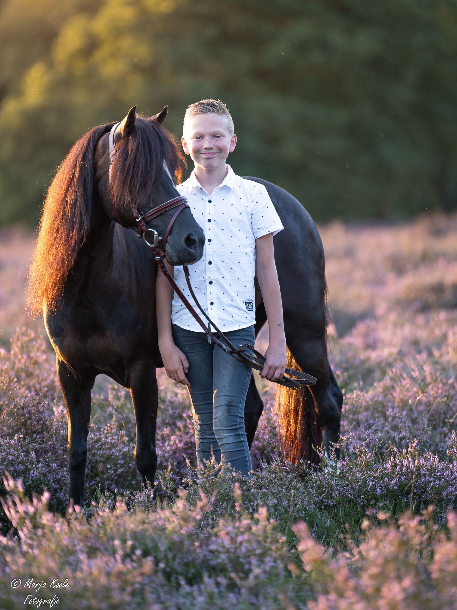 welsh allround-pony merrie 17 years old zwart for sale - Photo 6