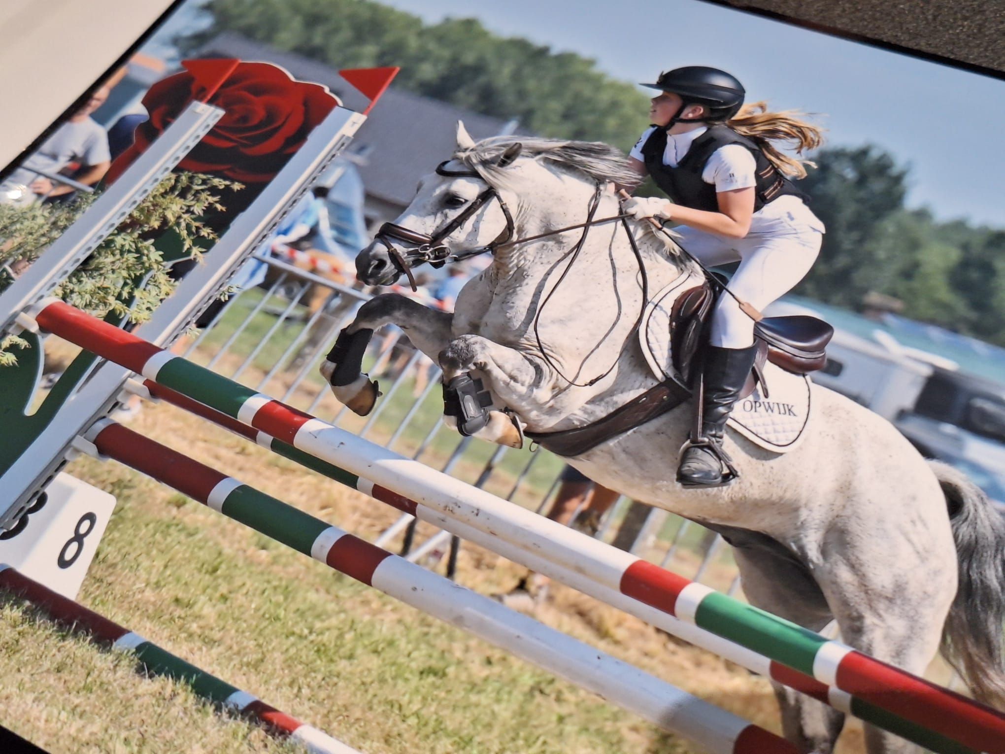 Gentil poney C d'obstacle
