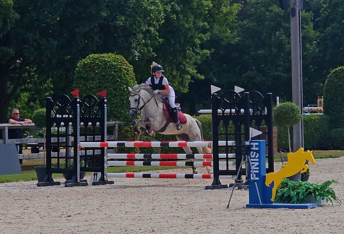 springpony ruin 14 years old schimmel for sale - Photo 2
