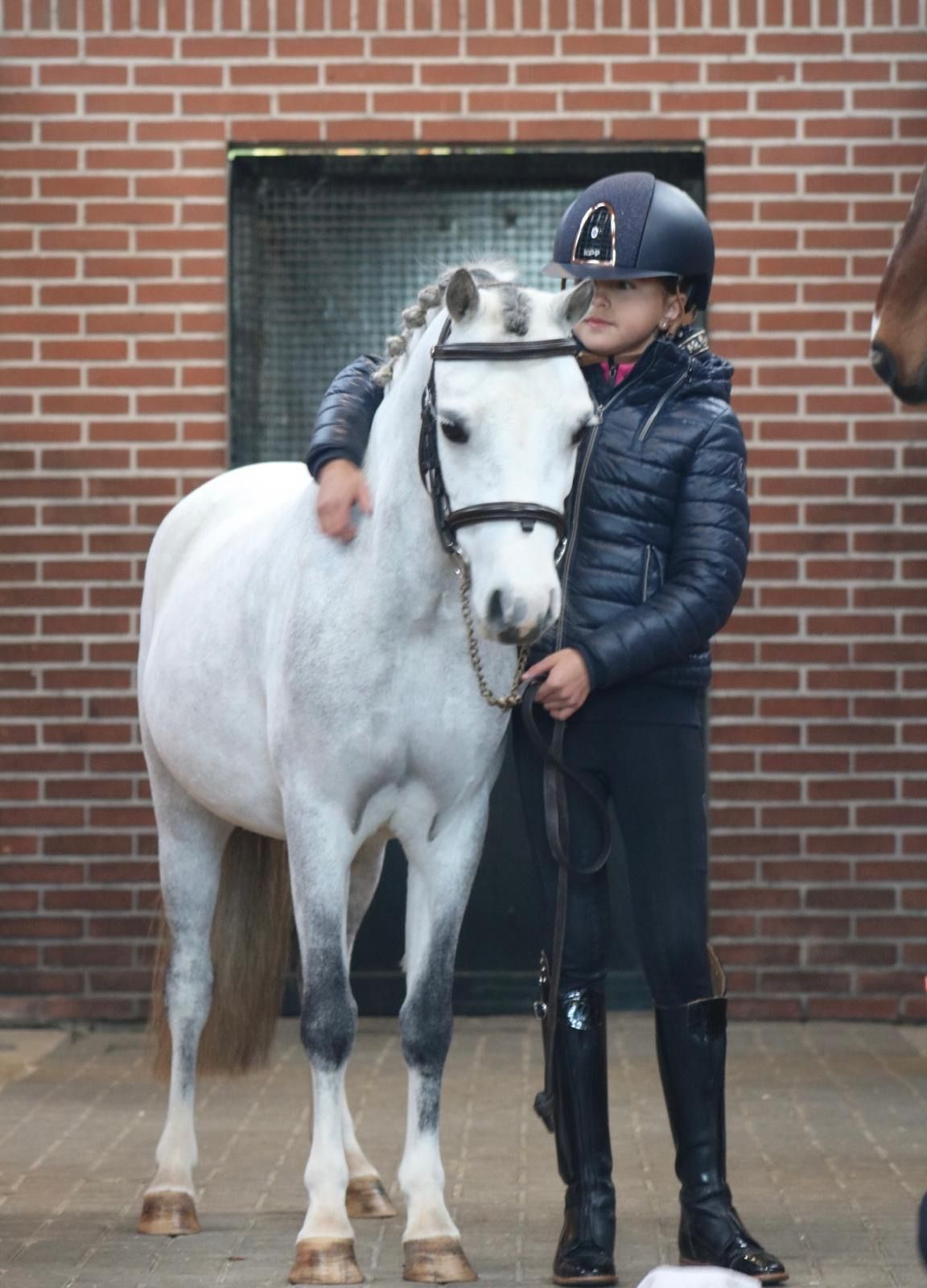 才能あふれる「一生に一度のポニー（Once-In-a-Lifetime pony）」販売中