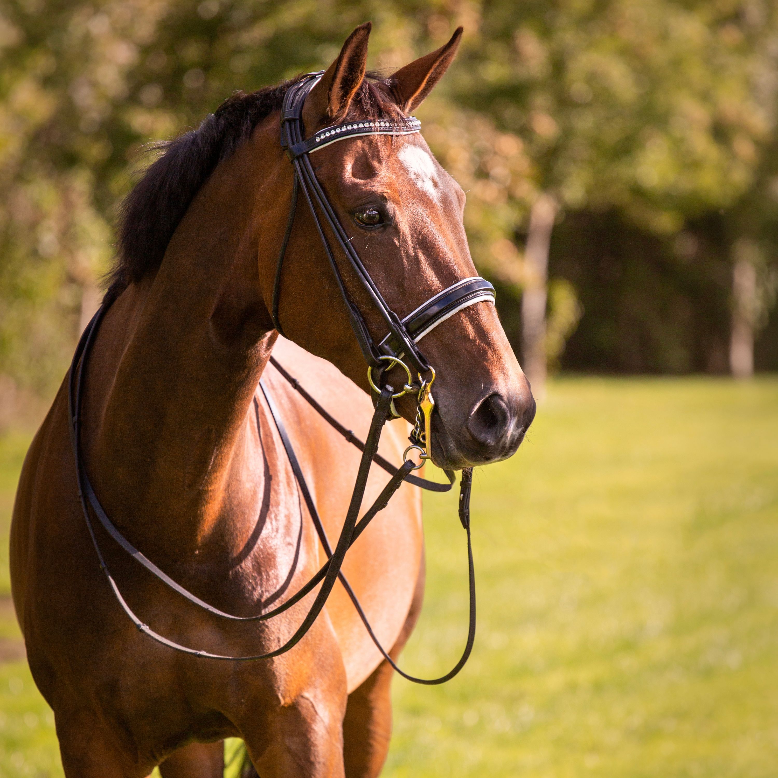 Well-behaved schoolmaster