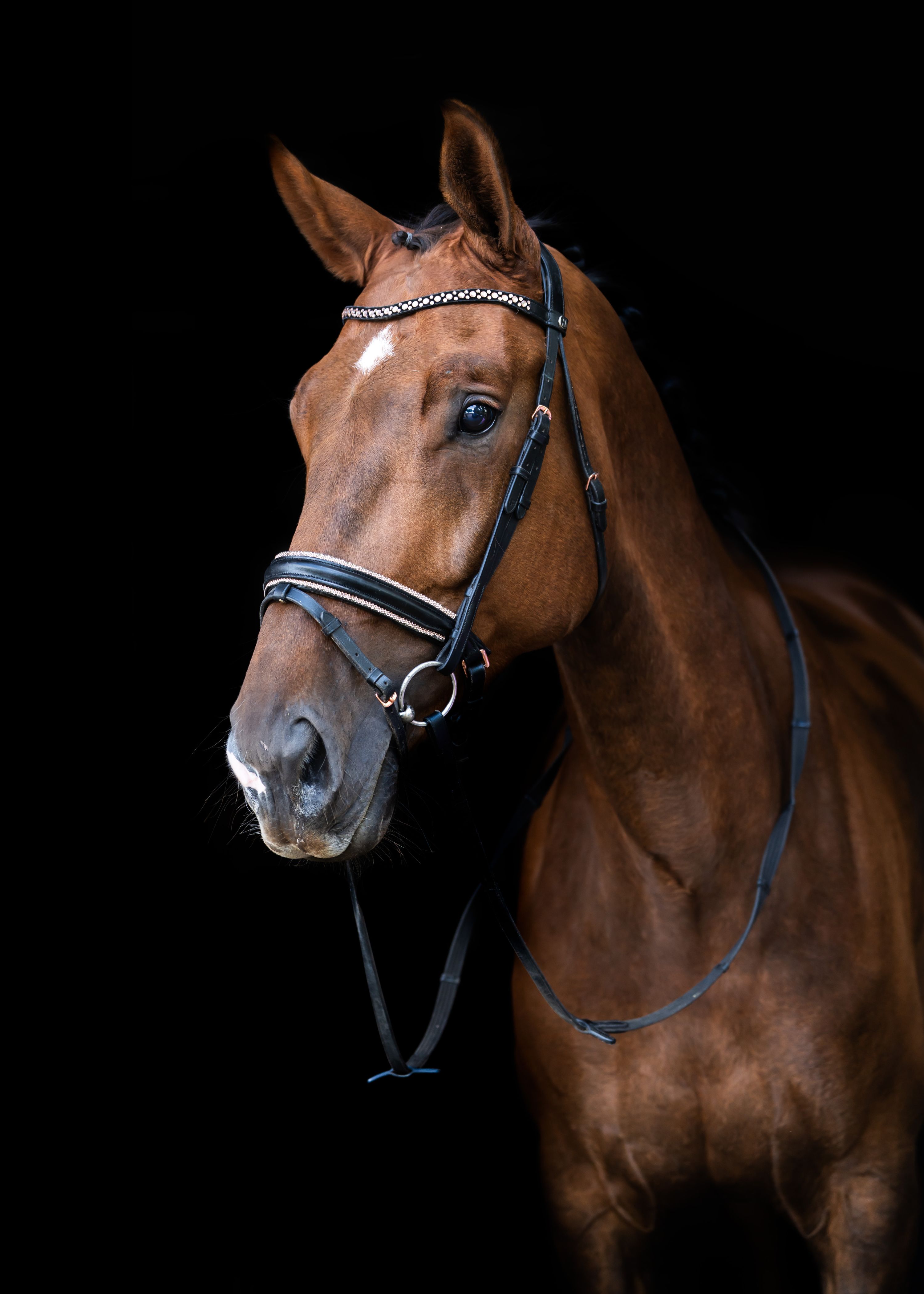 kwpn dressuurpaard merrie 5 ani vos de vânzare - Foto 2